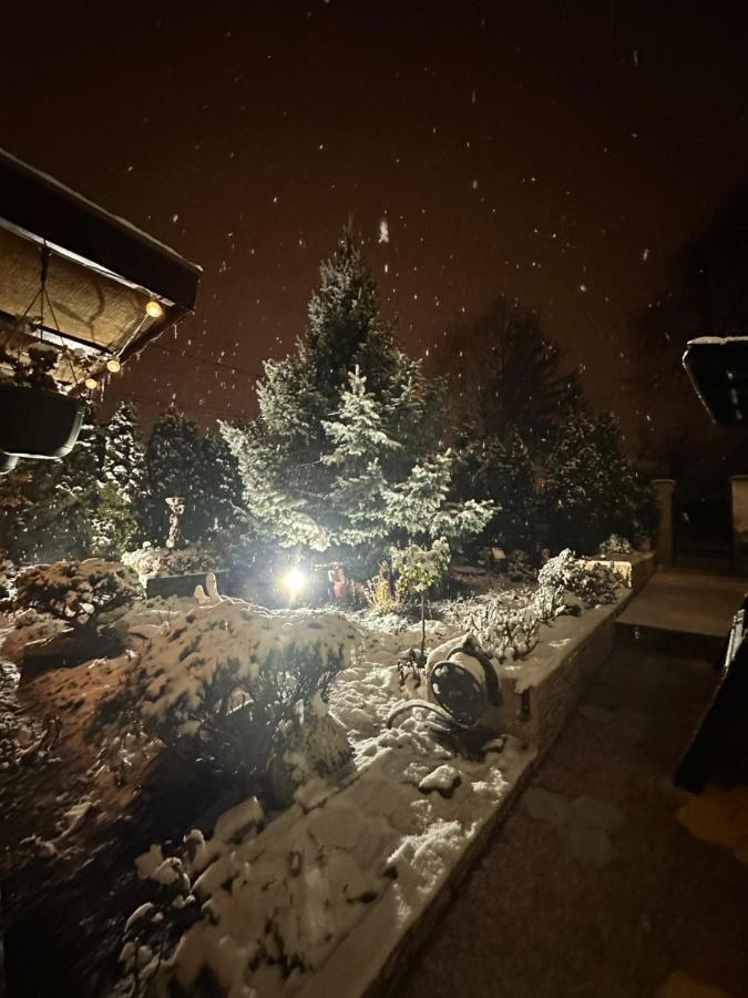 Casa Albert Luca Vaslui Exteriér fotografie