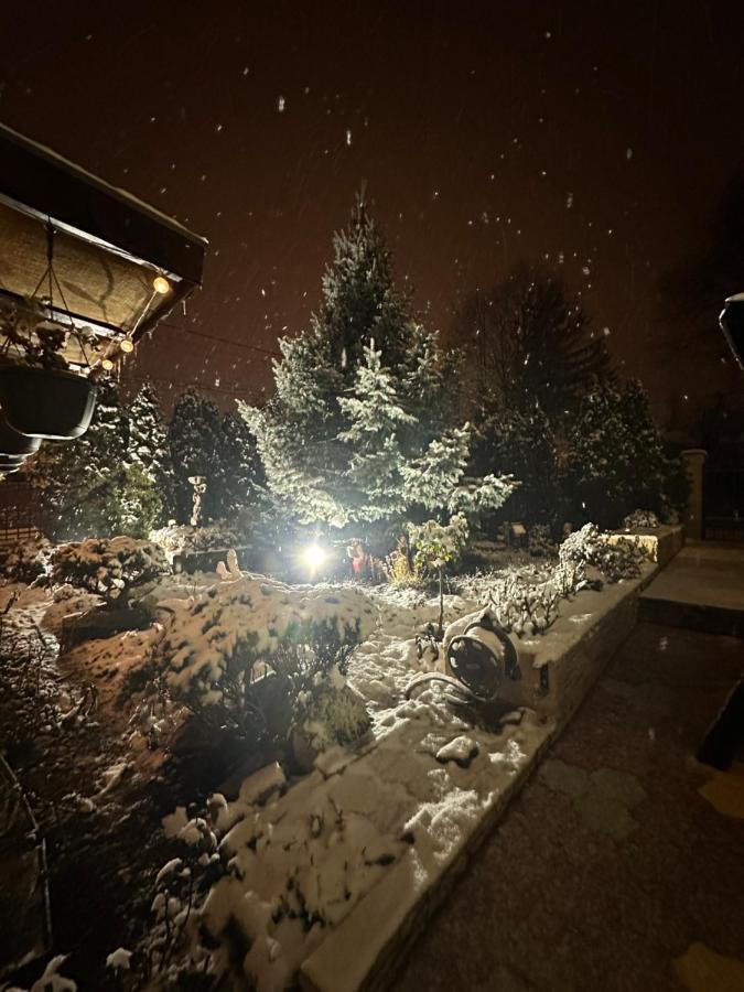 Casa Albert Luca Vaslui Exteriér fotografie